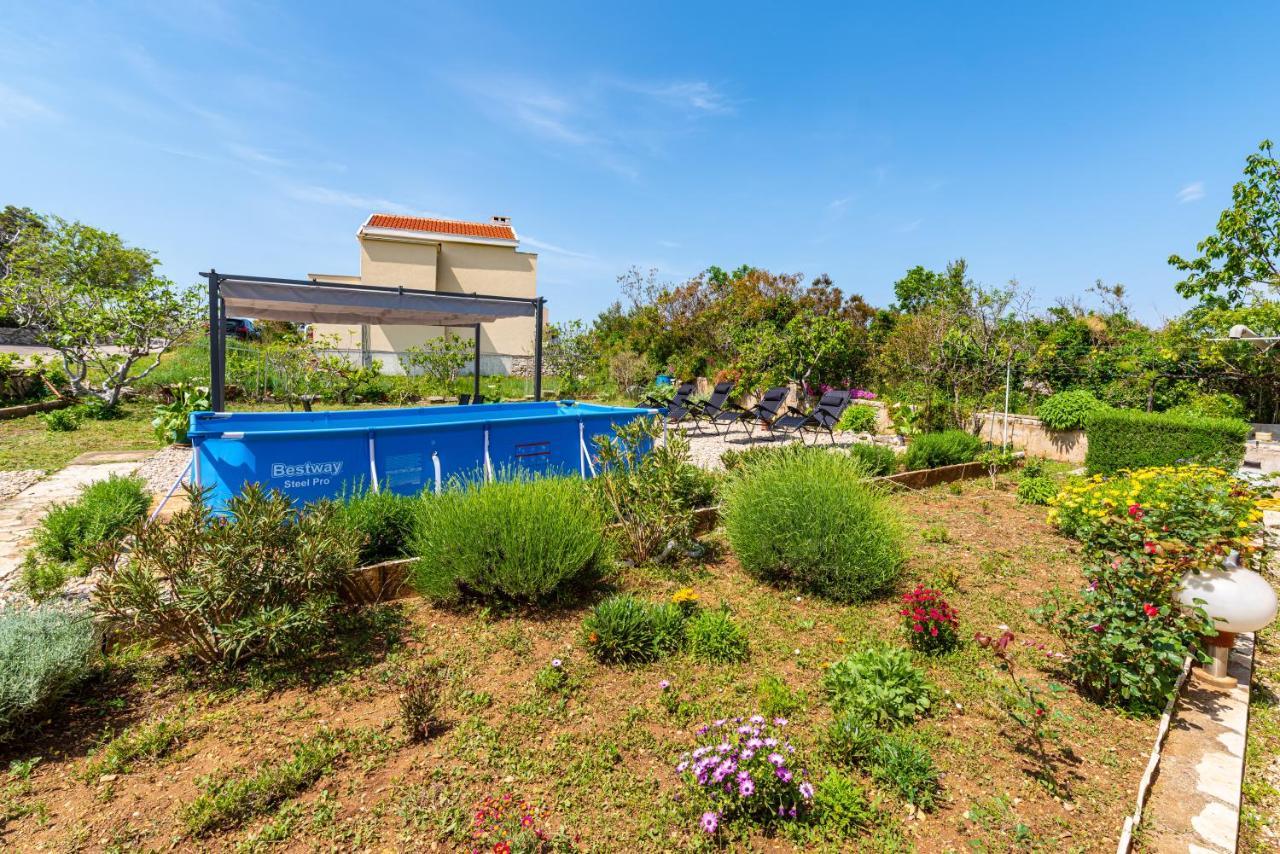 Apartment Sea And Mountain With Pool Novigrad  Exterior foto